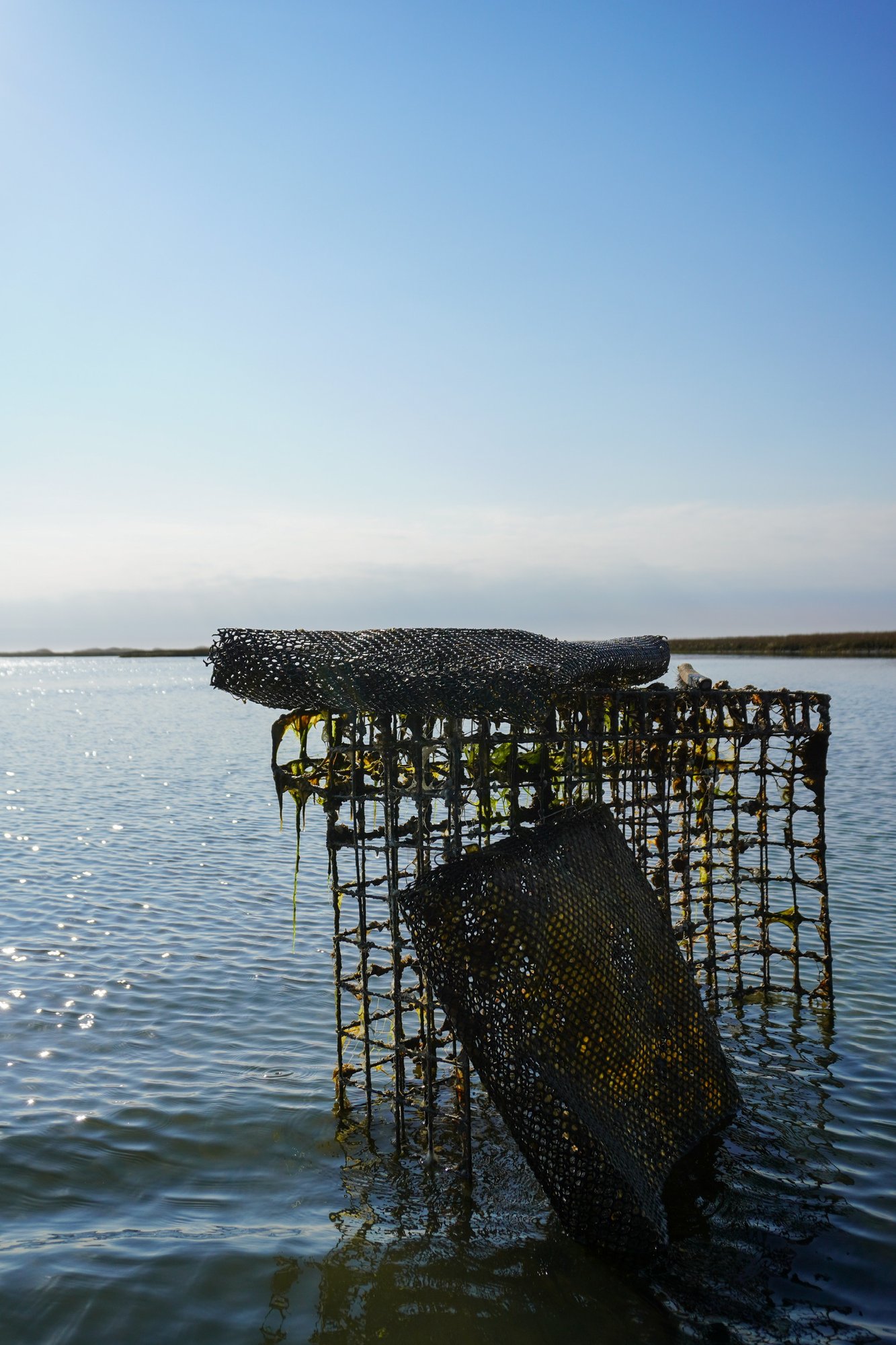 DSC02126 3 DSC02126 3